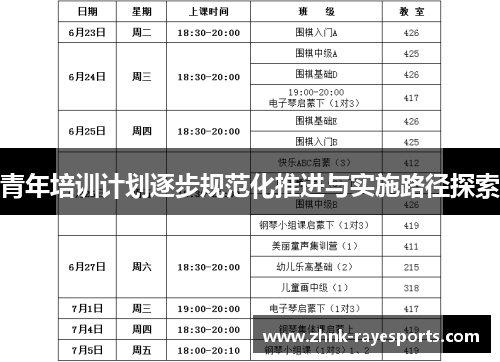 青年培训计划逐步规范化推进与实施路径探索